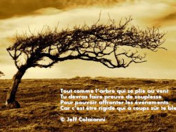 tout comme larbre qui plie